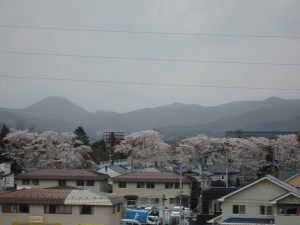 東日本大震災直後の東北新幹線からの車窓 桜がきれいですね