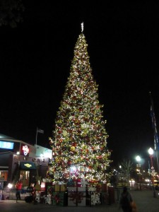 サンフランシスコ フィッシャーマンズワーフのクリスマスツリー