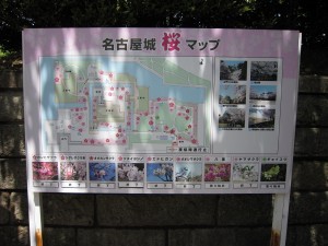 名古屋城 桜マップ