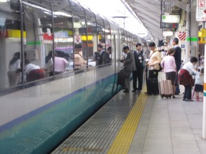 スーパービュー踊り子号 東京駅にて 列車に乗る前に係員が切符を確認します
