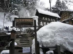 野沢温泉の天然記念物 麻釜熱湯噴出所 一般人は立入禁止です