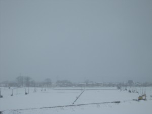 新潟市内も、きっとすごい雪 上越新幹線の車窓より