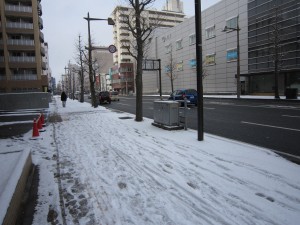 2013年2月10日(日)の新潟市内 雪が積もってました