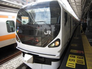 JR中央東線 E257系 特急あずさ 特急かいじ 新宿駅にて