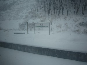 桑川駅にて 雪が結構積もってます きらきらうえつ号の車窓より