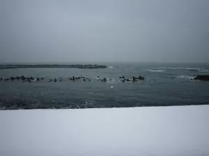 冬の日本海 これぞまさしく絶景 あつみ温泉駅周辺にて