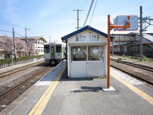 JR八高線 小川町駅 7番線・8番線 桜がきれいですね