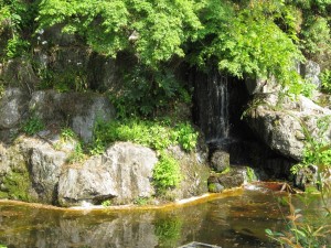 秩父 羊山公園 牧水の滝 滝壺の部分 池には金魚が泳いでいます