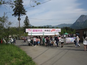 秩父 羊山公園 芝桜の丘 芝桜祭り中央口 芝桜が見頃の時だけ300円取られます