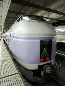 JR東日本 E351系 特急スーパーあずさ 前面 新宿駅にて