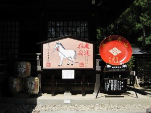 甲斐 武田神社 絵馬と風林火山の盃