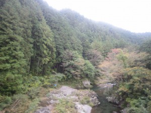 西武秩父線 山岳区間で渓谷沿いを登っていきます