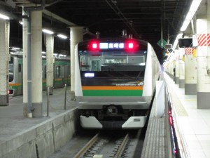 JR東北本線 上野駅 宇都宮線・高崎線・常磐線地上ホーム 上野始発の特急列車はここから発着します
