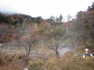 紅葉のシーズンの奥日光 湯元温泉 源泉 あちこちから湯気が立ち込めています