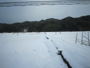 一面の雪景色 JR山陰本線 城崎温泉～浜坂にて