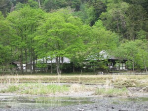 日光山温泉寺 新緑のシーズンの日光湯元温泉源泉から撮影