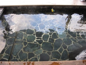 道の駅 湯西川 湯の郷 湯西川観光センター 足湯 お湯はほぼ無色透明です