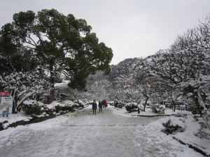 太宰府天満宮 境内 この日は大雪でした