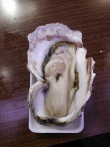 石川県金沢市 近江町市場 岩牡蠣は店頭で食べられます
