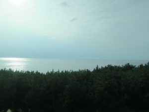 特急いなほの車窓 羽越本線 羽後本荘－秋田間 松林の先に日本海が見えます