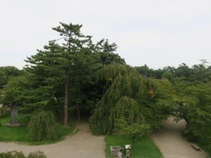 弘前城 天守閣からの景色 北側