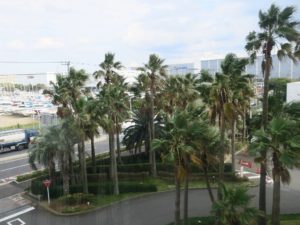 舞浜ユーラシア 3階から見た風景
