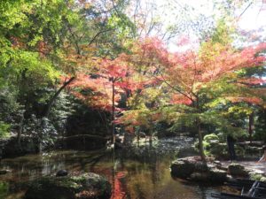 岐阜公園 池と紅葉