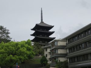 興福寺 五重塔 奈良公園側から撮影