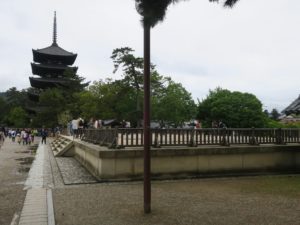 興福寺 南大門跡 後ろに五重塔が見えます
