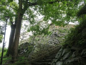 和歌山城 新裏坂登り口の石段