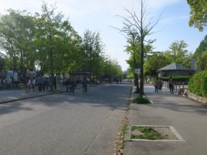 大阪城公園 大阪城へはここを左に曲がります