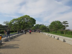 大阪城公園 桜門への通路 大阪城はここを道なりに進んだ先にあります