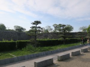 大阪城公園 桜門への通路 よーくみると大阪城が見えます