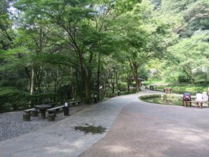 宮崎県 高千穂峡 真名井の滝への遊歩道