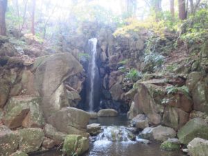 成田山公園 雄飛の滝