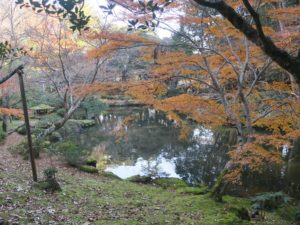 成田山公園 文殊の池 西側から撮影