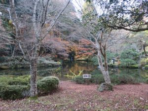 成田山公園 文殊の池 東側から撮影