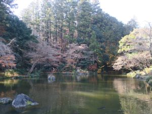 成田山公園 竜樹の池 東側から撮影