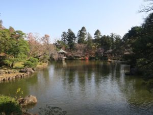 成田山公園 竜智の池 西側から撮影