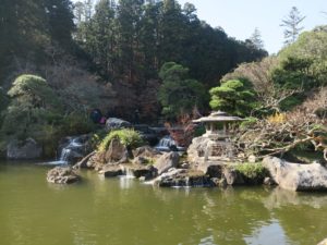 成田山公園 竜智の池 東側から撮影