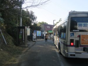 徳島バス 鳴門公園 バス停留所 後ろから撮影