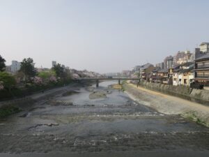 京都 鴨川 五條大橋方向を撮影 桜がきれいです