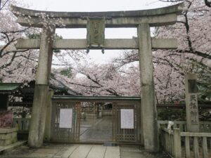 天孫神社 鳥居 桜がきれいです