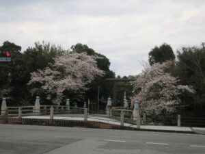 滋賀県彦根市 護国神社前交差点 彦根駅西口からまっすぐ進んだ突き当りにあります