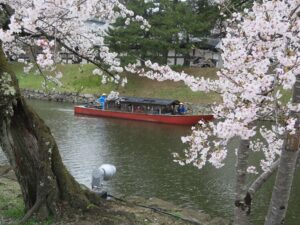 彦根城 お堀を巡る屋形船