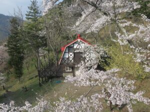 叡山ケーブル 車窓から見えた山小屋 桜がとってもキレイでした