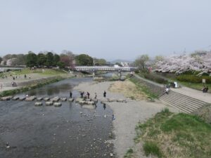 叡山電鉄本線 出町柳駅 駅前を流れる鴨川 桜がとってもキレイでした
