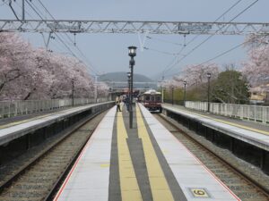 阪急嵐山線 嵐山駅 ホーム 桜がとってもキレイでした