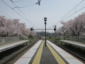 阪急嵐山線 嵐山駅 ホーム先のポイント 桜がとってもキレイでした