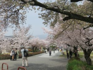 京都 嵐山公園 阪急嵐山駅からの入口